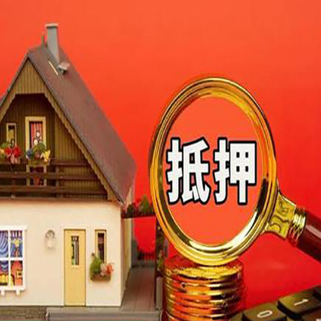 双湖贷款买房后可以提前还部分本金吗?
